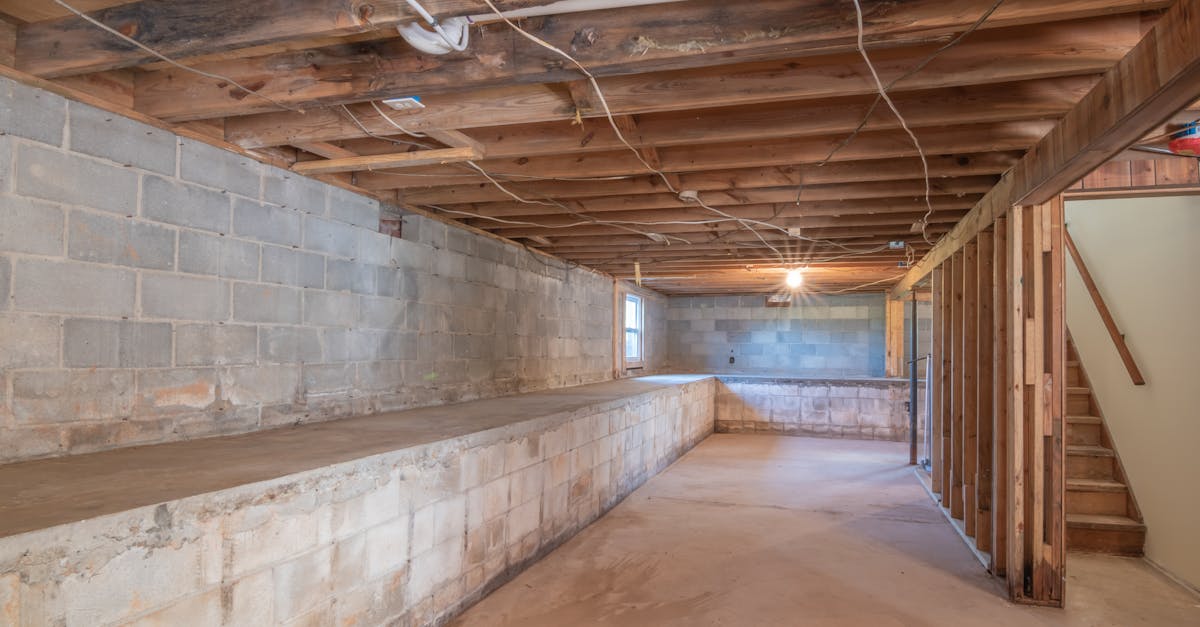 Basement moisture-control visual for humidity, leaks, and crawl-space questions.